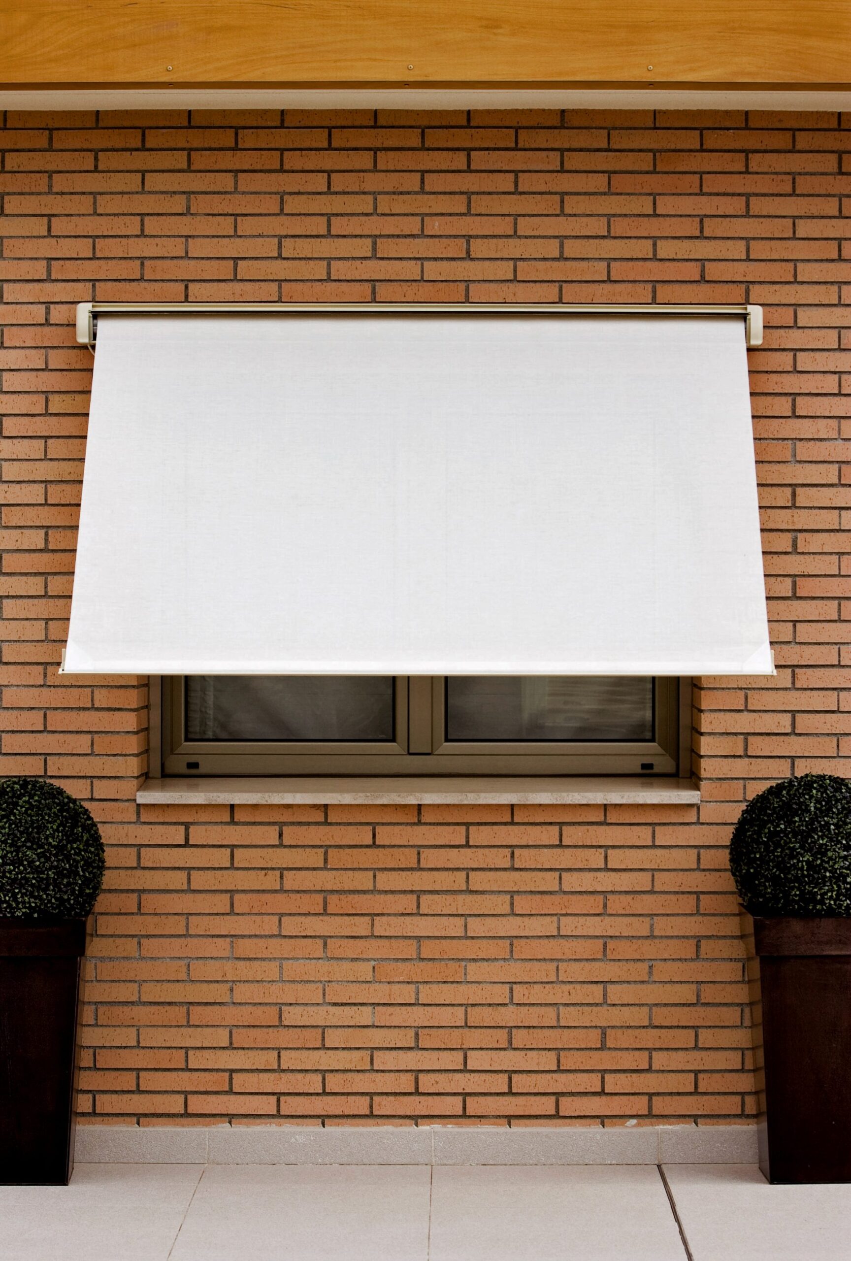 Toldos para ventana